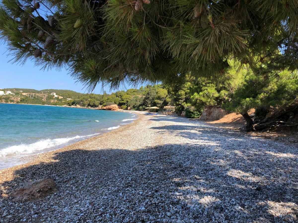 Villa Marina Porto Cheli Buitenkant foto